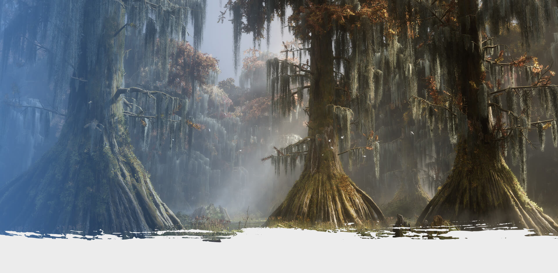 cView Portfolio Work